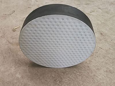 呈贡区四氟板式橡胶支座易于更换缓冲隔震